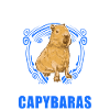 Capybara Gift Capibara capybara