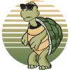 Turtle lovers gifts | Turtle