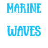 Marine Biologist Marine Biology