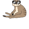 Cool Meerkat Funny Saying Gift