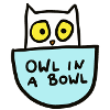 owl in a bowl