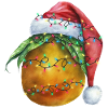 Christmas Mango