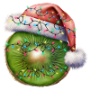 Christmas Kiwi