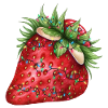 Fraise de Noël