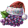 Christmas Grapes