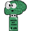 Brain USB Flash Drive
