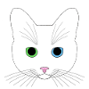 White cat blue green eyes