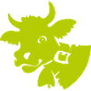 Kuh
