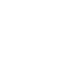 Reticle