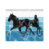 Dette er min religion Trotting Race Trabreiter Sulky
