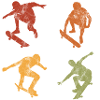 Skateboard Skateboarder Skater Skate Skateing