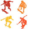 Skateboard Skateboarder Skater Skate Skateing