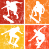 Skateboard Skateboarder Skater Skate Skateing
