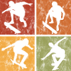 Skateboard Skateboarder Skater Skate Skateing