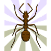 Ant Christmas Gift Birthday Gift