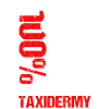 Taxidermist Taxidermie Tierpräparator