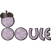 Boule petanque