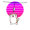 Le chat attrape le poisson