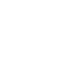 Surveying King