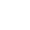 King Of The Surveying