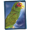 The Yucatecan parrot