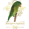 The Tanned Parakeet