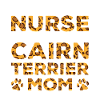 Sœur Chienne Mère - Cairn Terrier