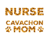Sœur chienne mère - Cavachon