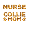 Nourrice-chien Mère - Collie