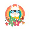 Licence NO Probllama