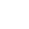 Shuttlecock