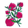 Pomegranate!