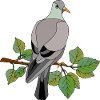 Vogel