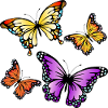 Papillons