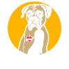 Boxer Dog Love Dog