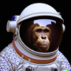 Monkey Astronaut