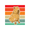 Capybara Gift Capibara capybara