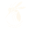 Mosquito