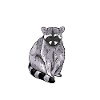 I Just Really Like Raccoons, OK? Lover Gift Raccoo