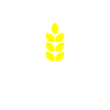 Ährenmann Hell