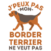 Border terrier
