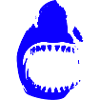 Blueshark Coachl