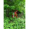 Rouge dans le vert