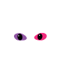 Black White Cat