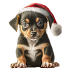 Cute dog wearing santa hat