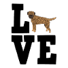Border Terriers
