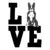 Boston Terrier