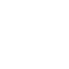 Artist Video Producer