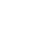 Artist Computer Animator