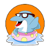 Dolphin Sunglasses